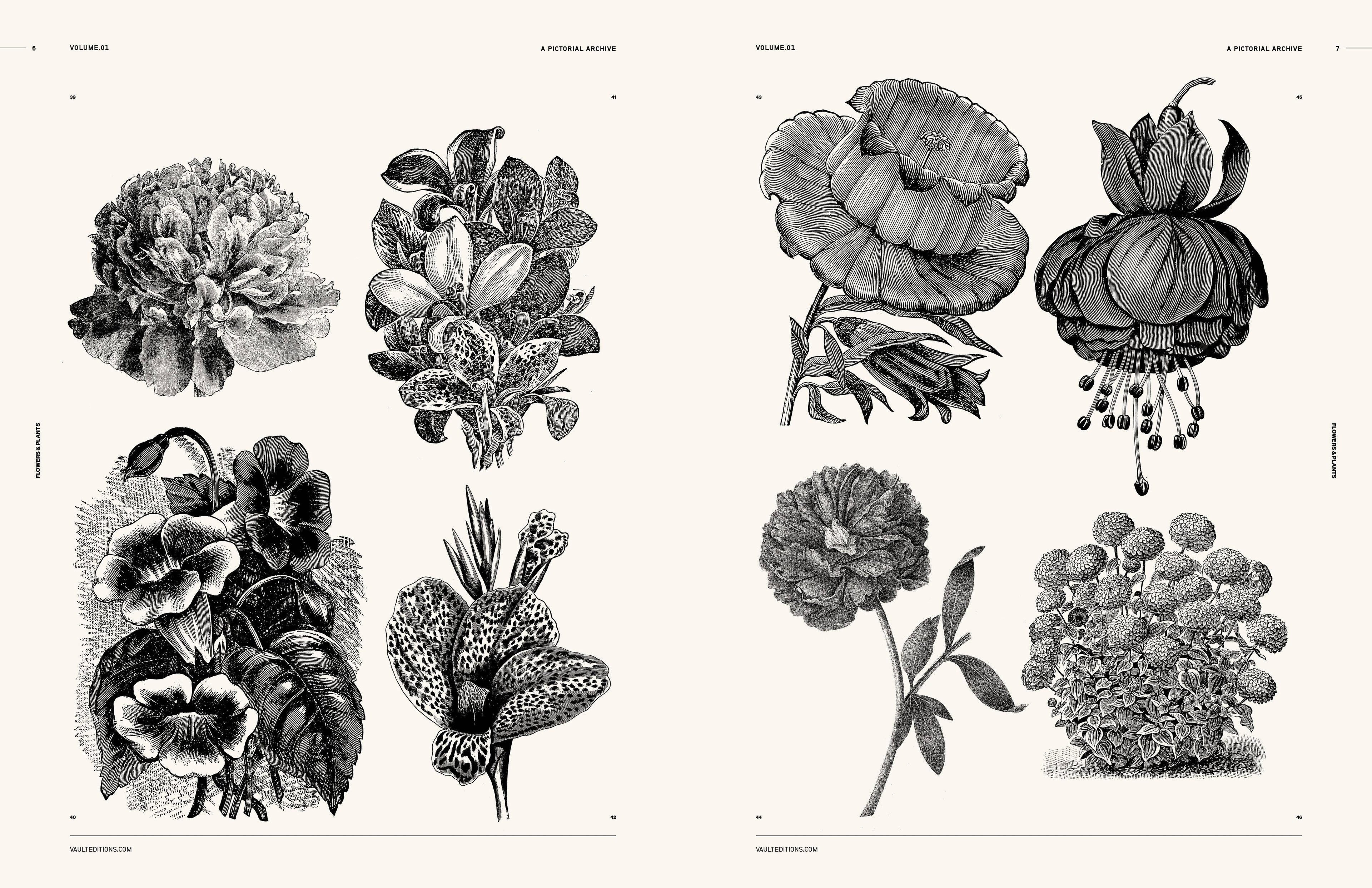 Vault Editions Flowers and Plants Book by James Kale