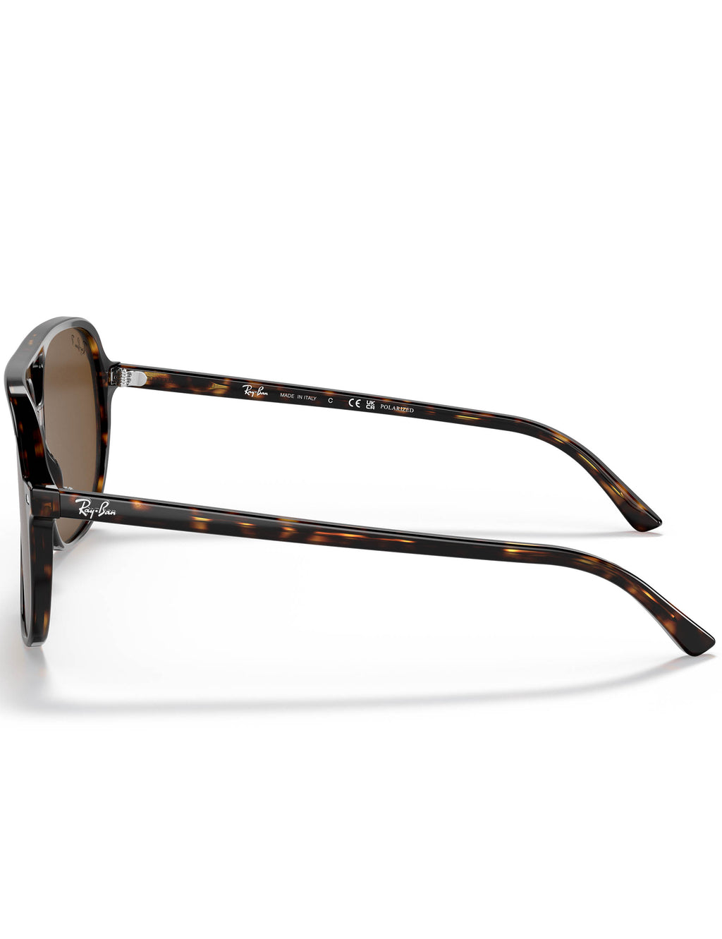 Sunglasses with tortoiseshell frame on a white background