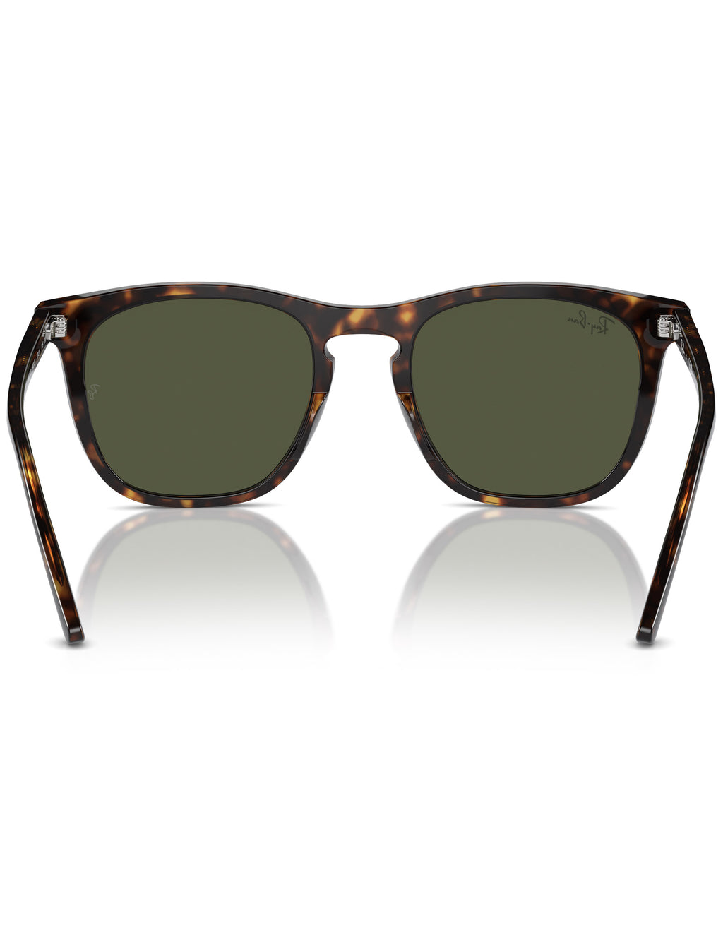 RB2210 Sunglasses - Polished Havana/Green
