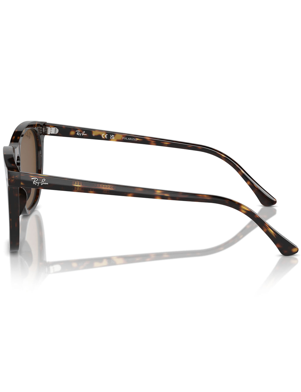 RB2210 Sunglasses - Polished Havana/Brown Polarised