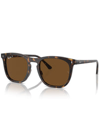 RB2210 Sunglasses - Polished Havana/Brown Polarised