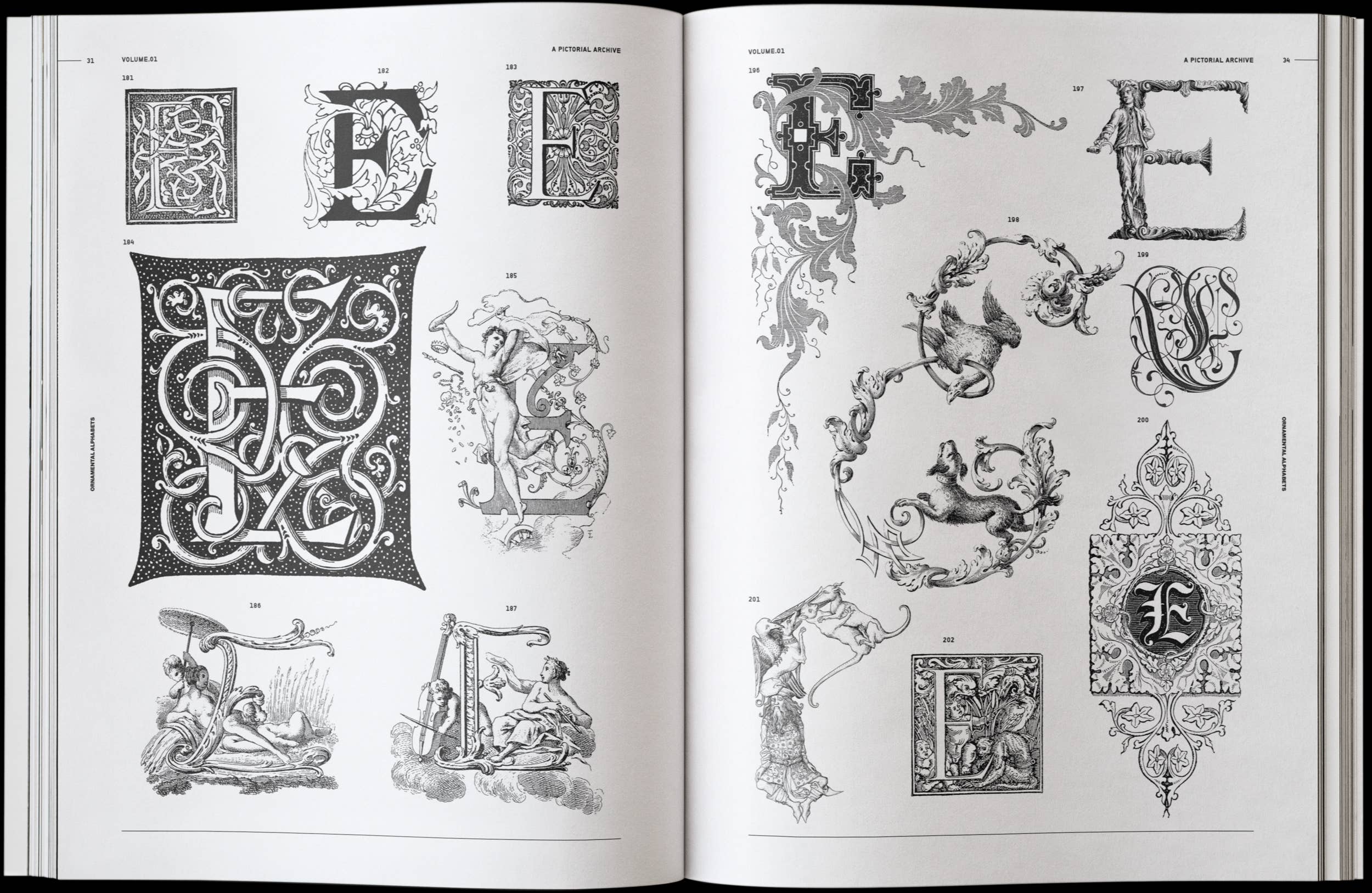Vault Editions Ornamental Lettering: Initials & Decorative Alphabets Book by James Kale