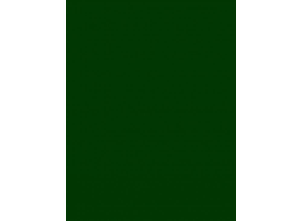 Green 3oz - Leather Dye