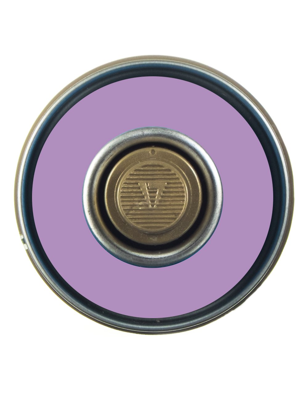 Spray Paint 400ml - Viola G4210
