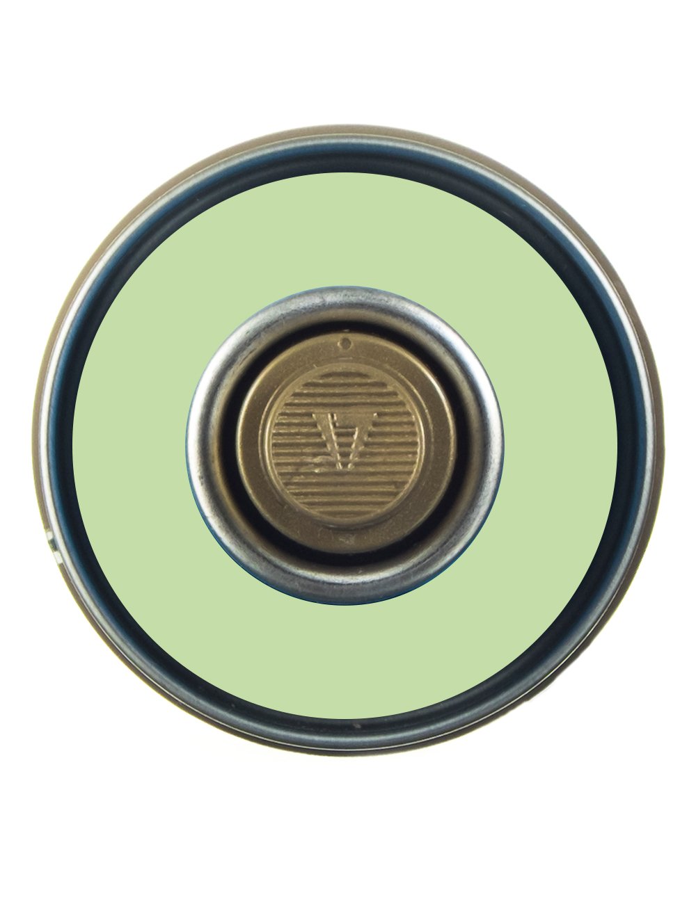 Spray Paint 400ml - Linden Green G6010