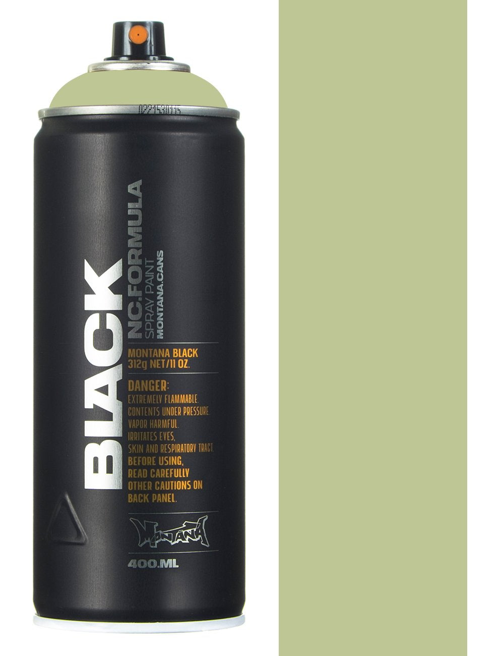 Spray Paint Beetle BLK6420