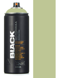 Spray Paint 400ml - Beetle BLK6420