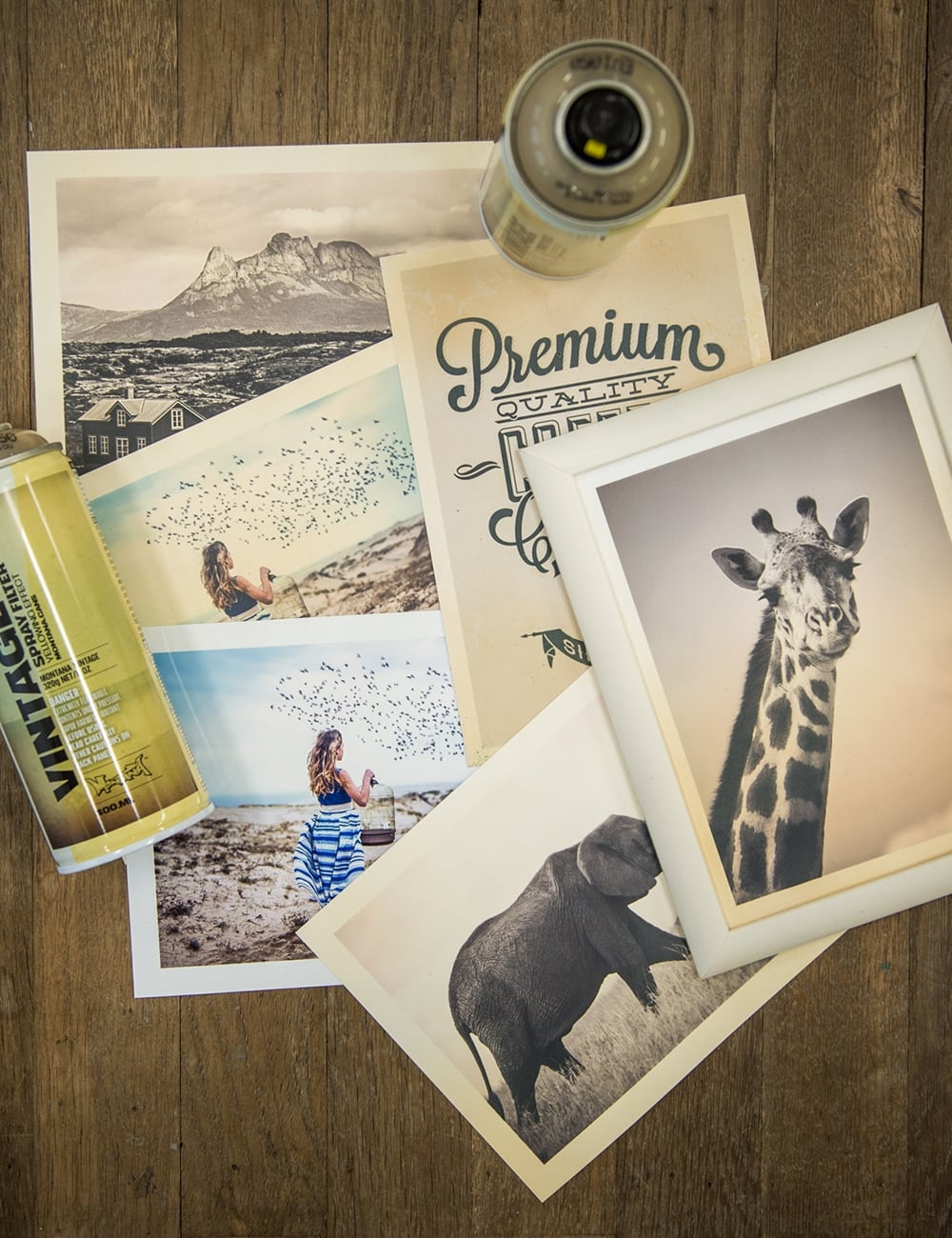 Collection of vintage-style photo prints featuring animals and scenic landscapes on a wooden surface.