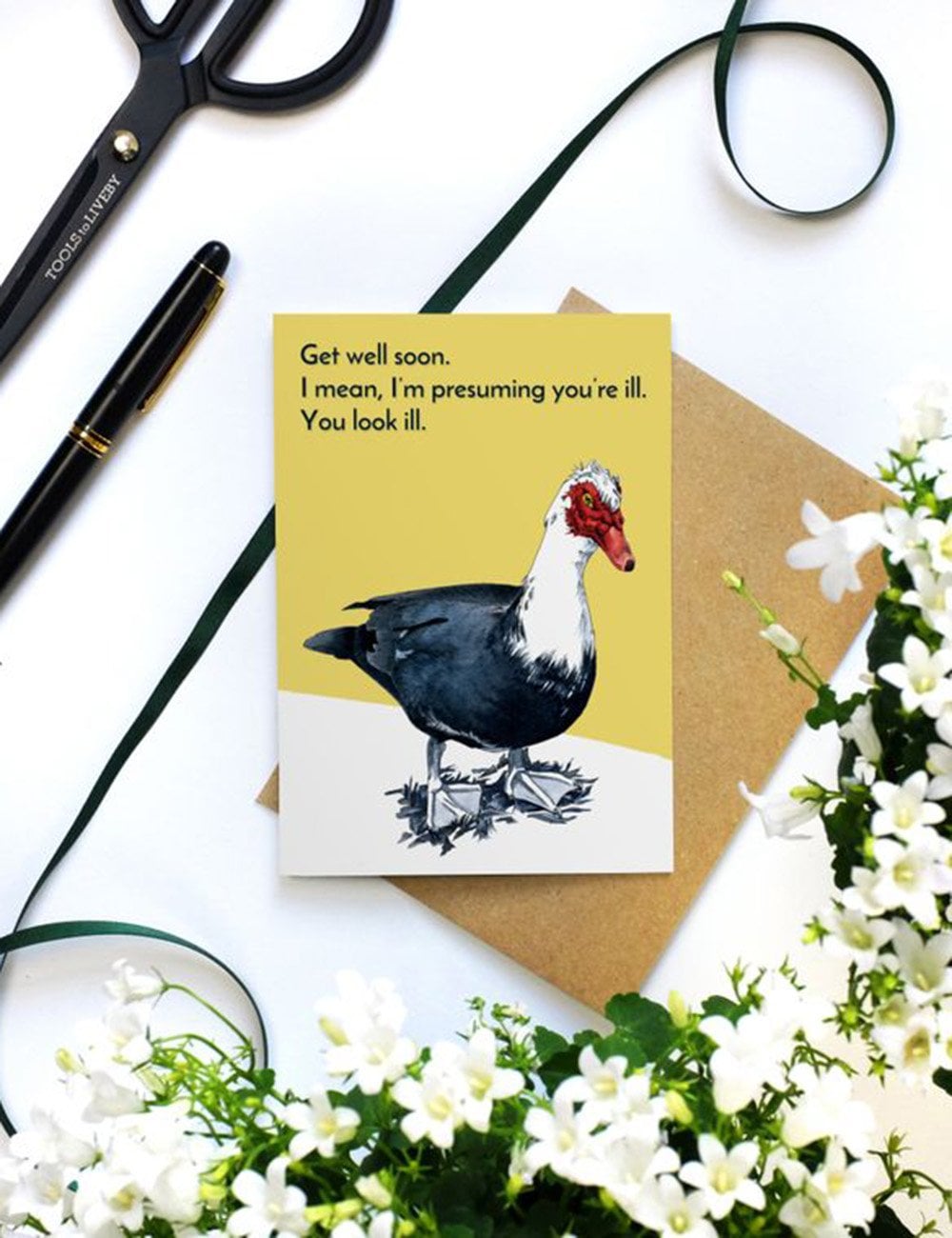 Ill Looking Duck Greetings Cards