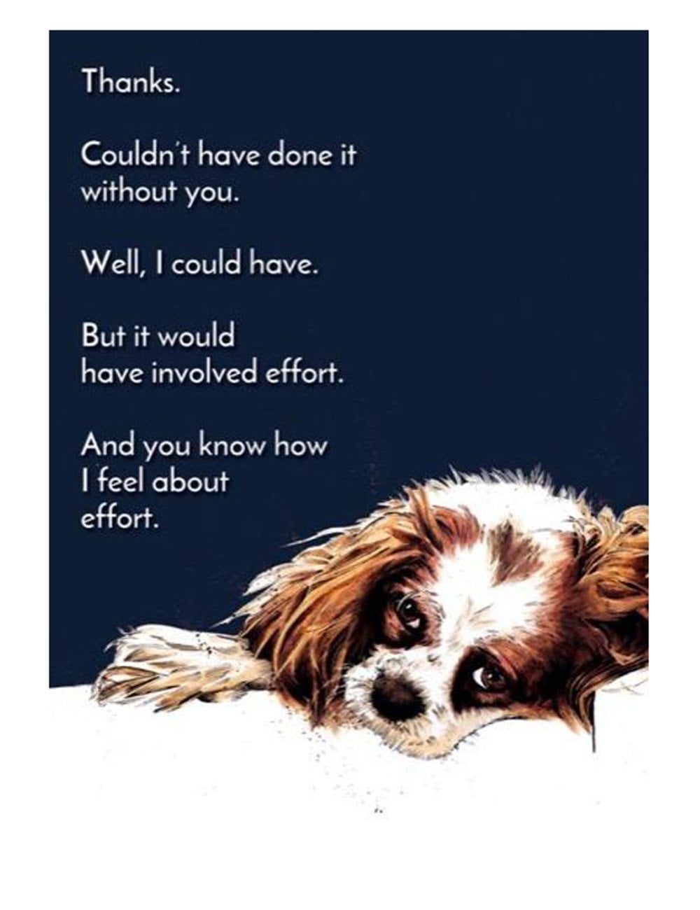 Thanks Dog Greetings Cards