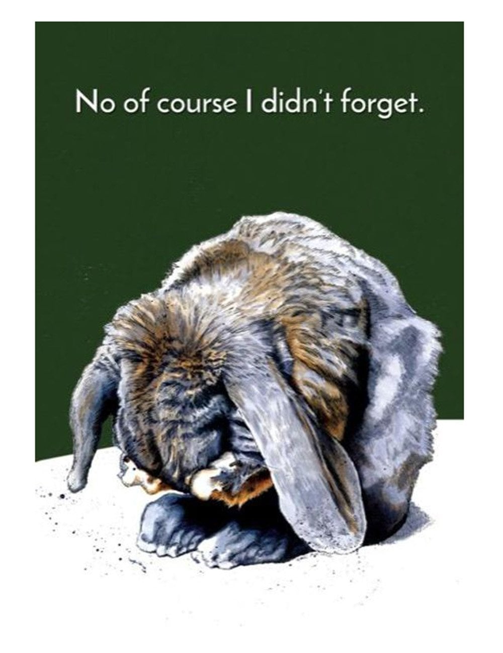 Belated Bunny Greeting Cards