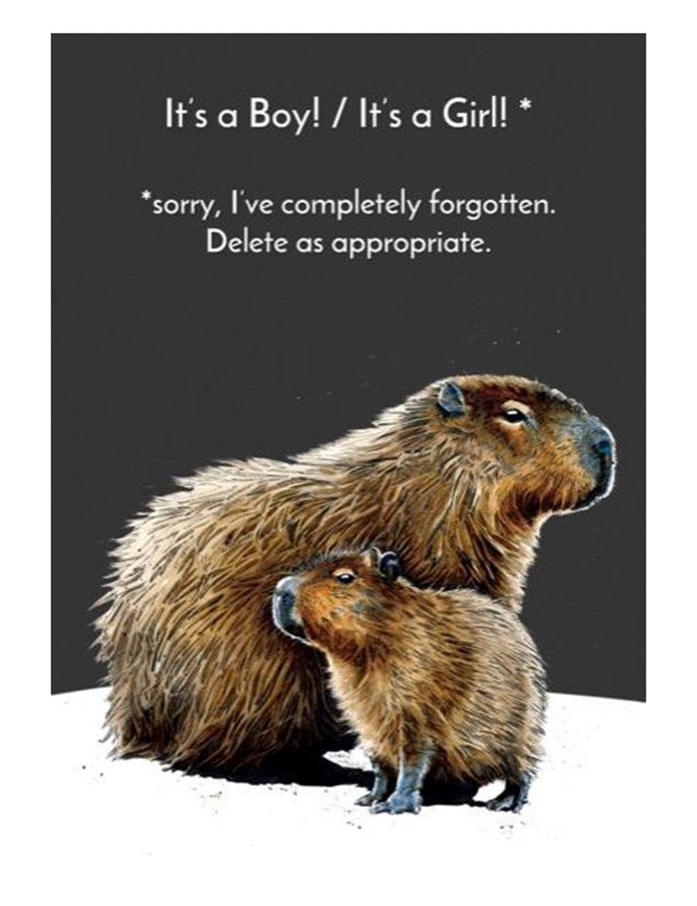Baby Capybara Greeting Cards