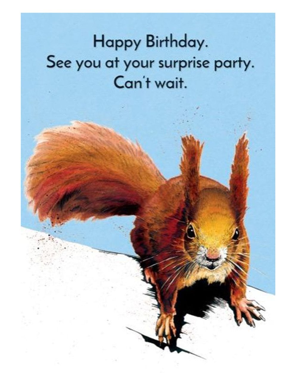 Surprise Squirrel Greeting Cards