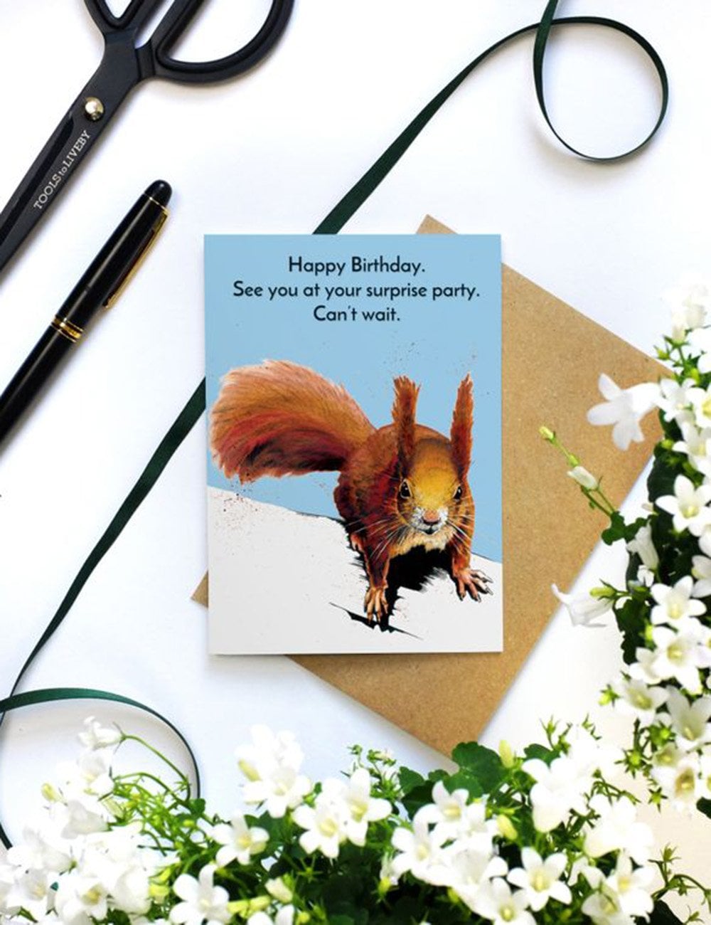 Surprise Squirrel Greeting Cards