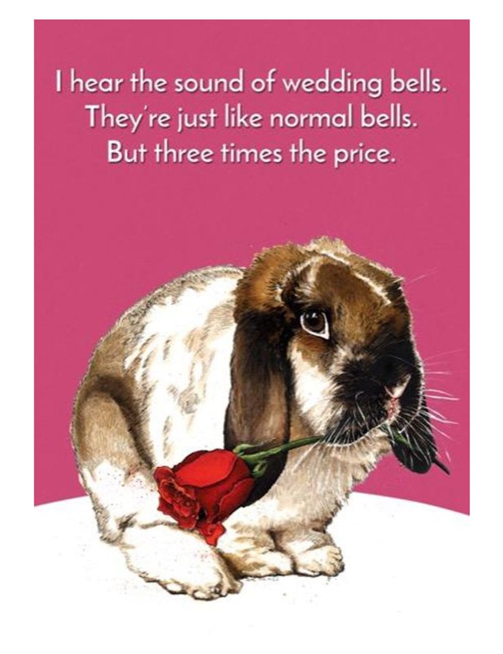 Bells Bunny Greeting Cards