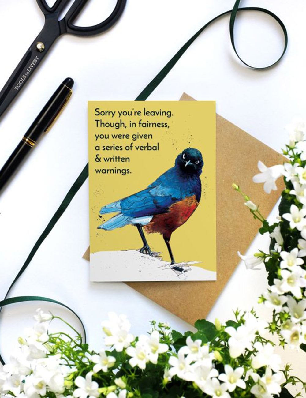 Warning Starling Greeting Cards