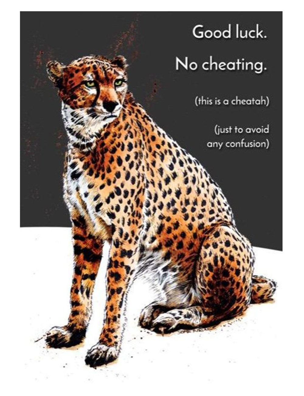 Cheating Cheatah Greeting Cards