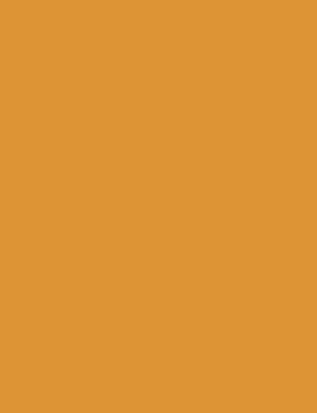 Fluorescent orange color swatch