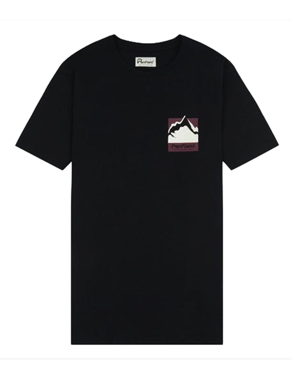 Mount Scene Graphic T-Shirt - Black