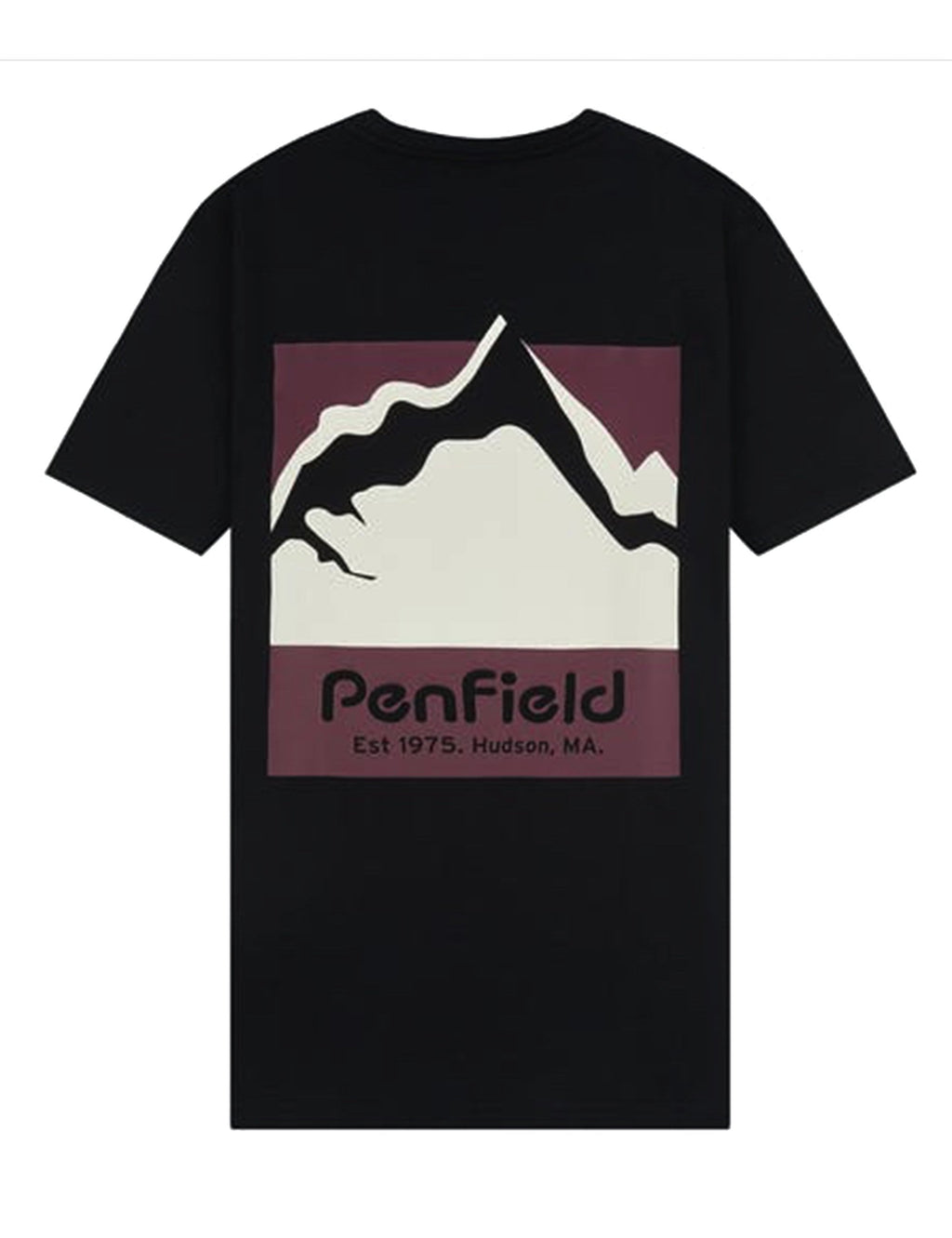 Mount Scene Graphic T-Shirt - Black