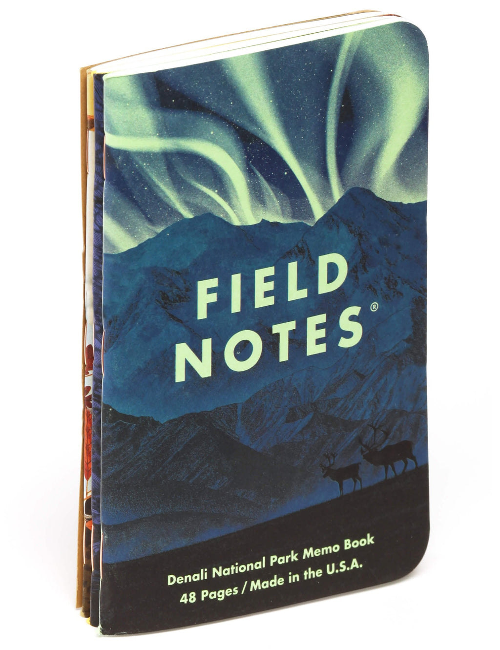 Denali National Park memo book, Field Notes cover with green aurora over mountains