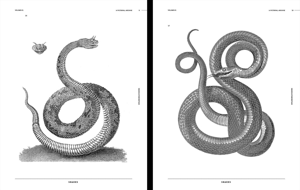 Open book spread featuring detailed black-and-white snake illustrations
