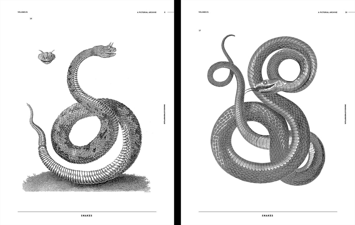 Vault Editions UK Snakes & Other Reptiles, an Image Archive