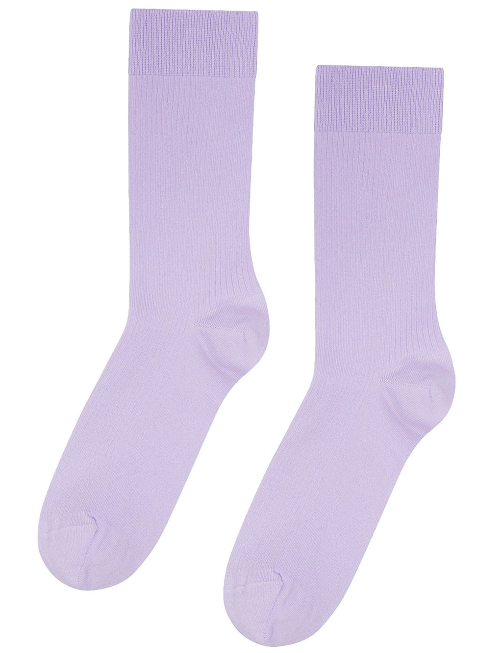 Lavender ribbed crew socks, knit cuffs and rounded toes visible