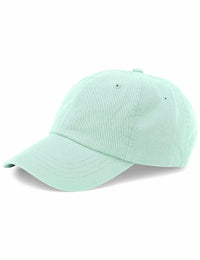 Organic 6 Panel Cap - Light Aqua