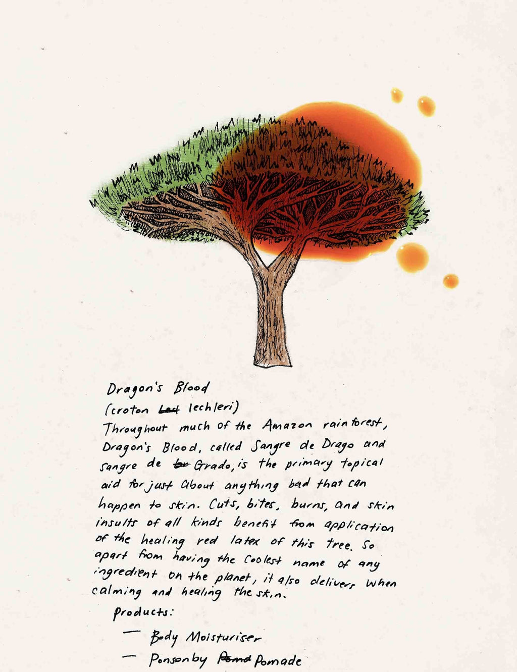 Illustrated tree with orange sun and handwritten healing notes on paper