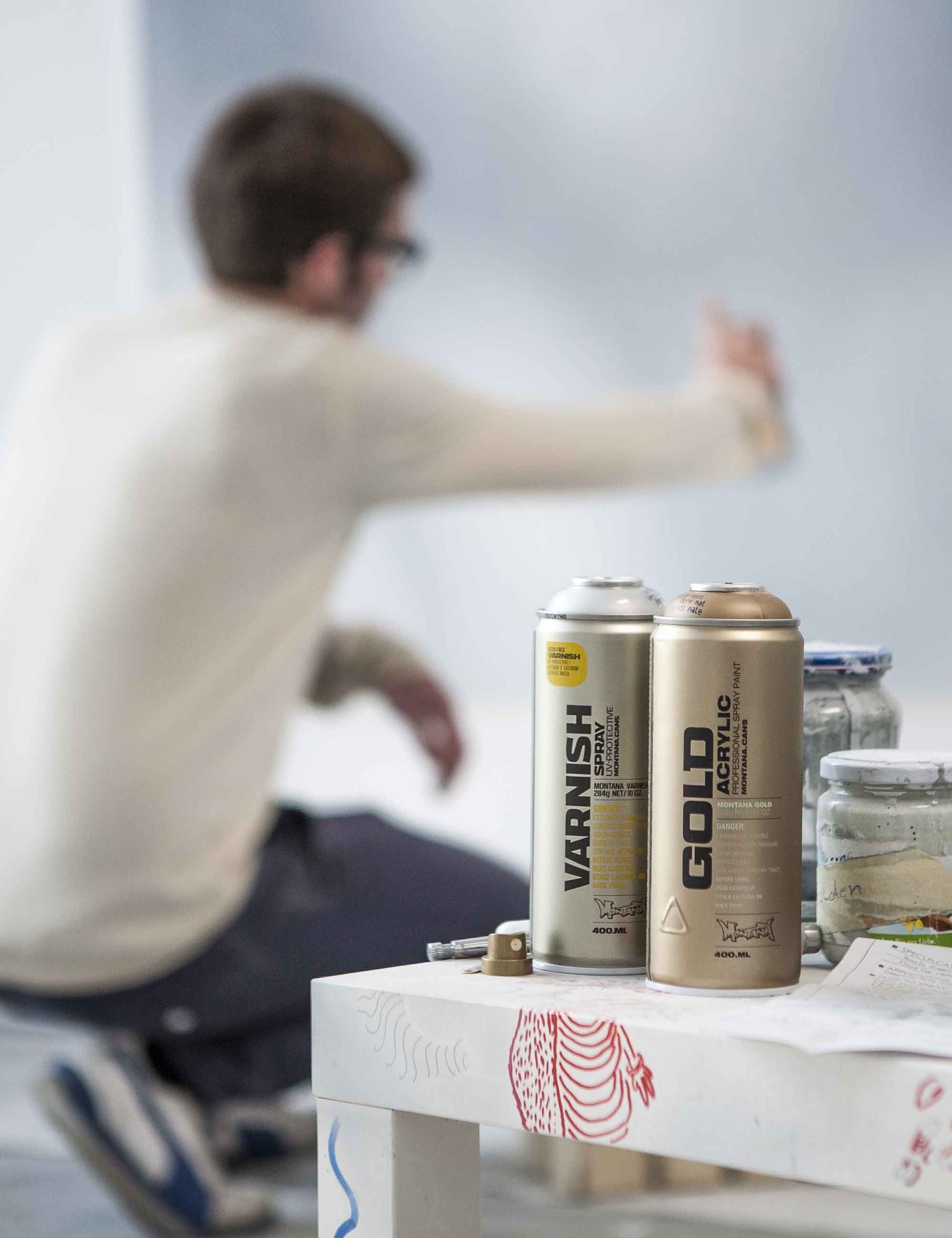 Varnish Spray Can 400ml - Matt Varnish T1010