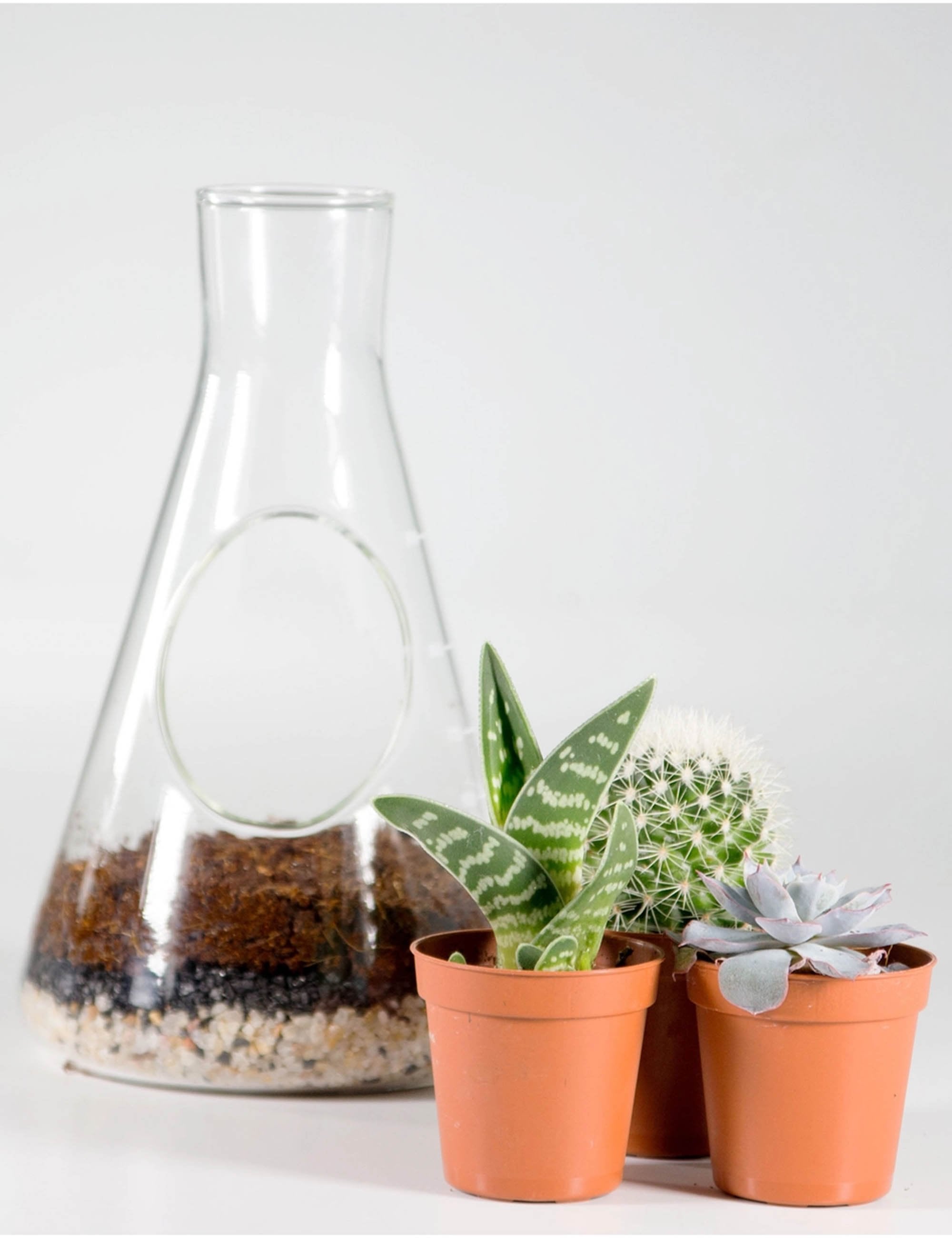 Chemistry Terrarium Kit