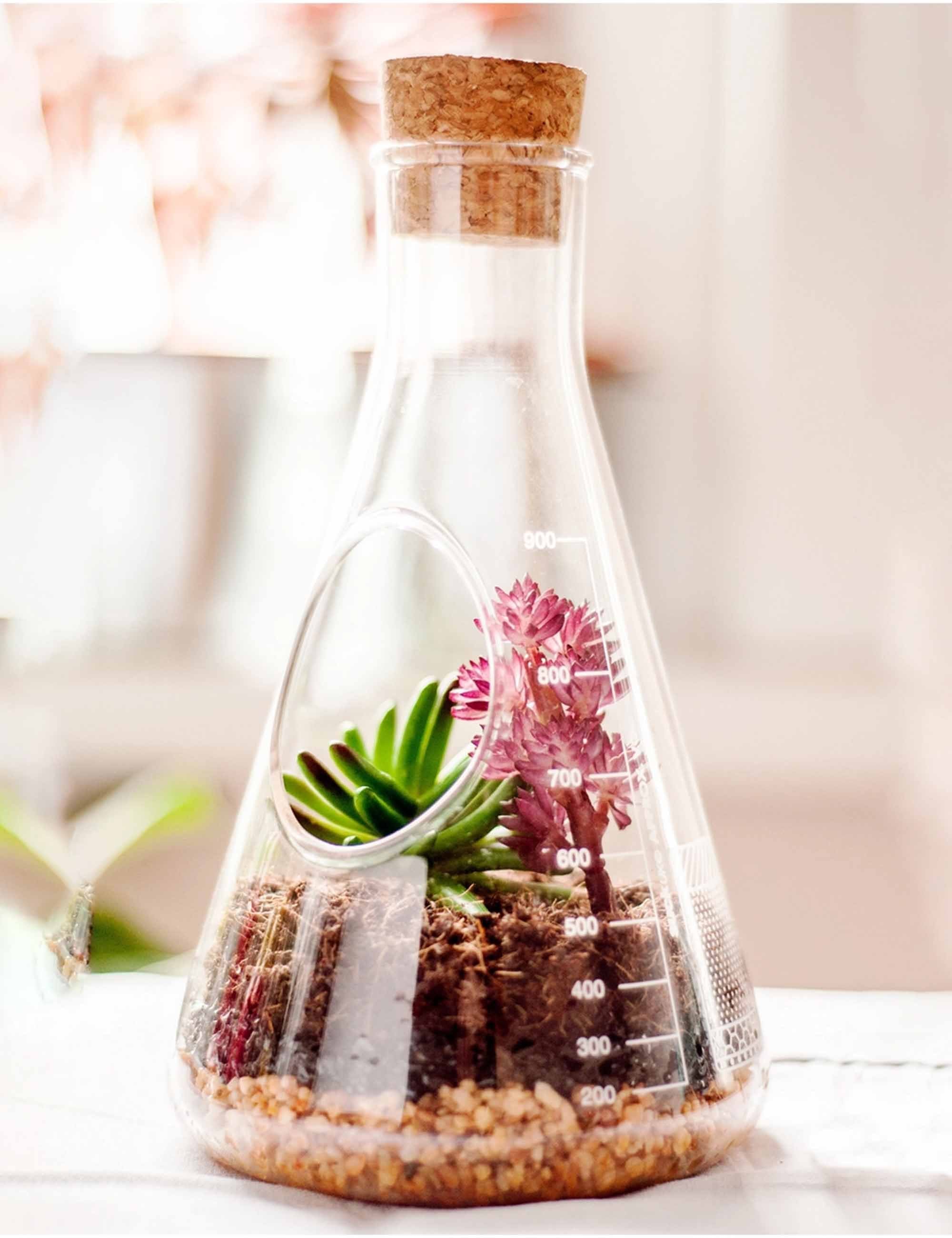Chemistry Terrarium Kit