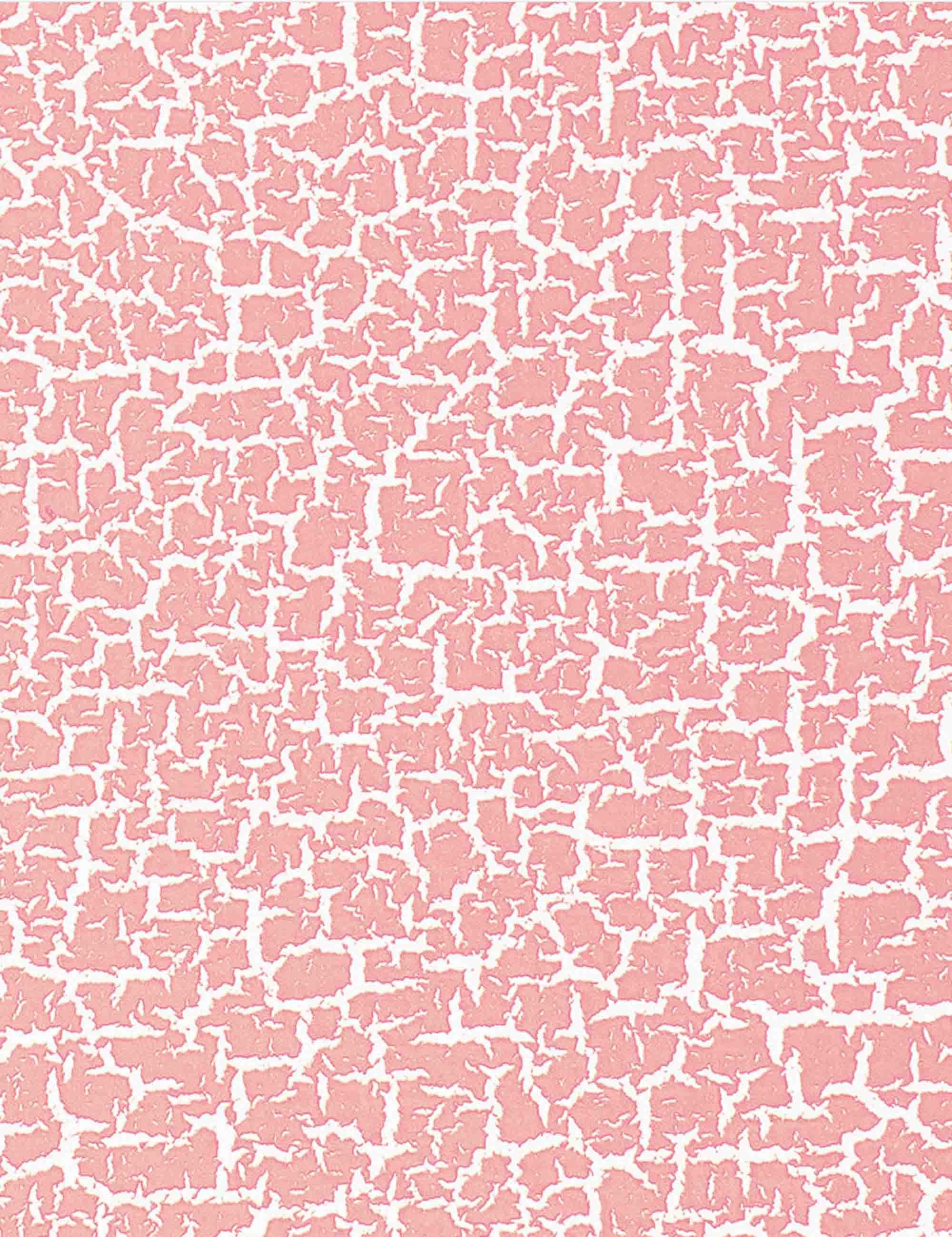 Montana Crackle Effect Spray Paint 400ml - Begonia Pink EC3010
