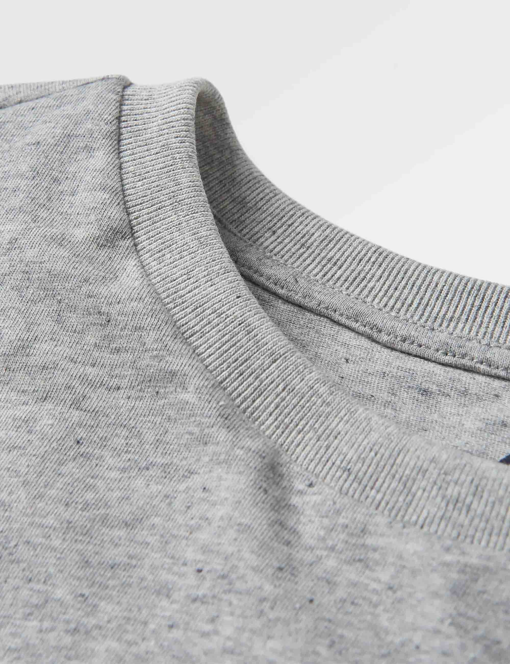 Passenger Escapism Recycled Cotton T-Shirt - Grey Marl