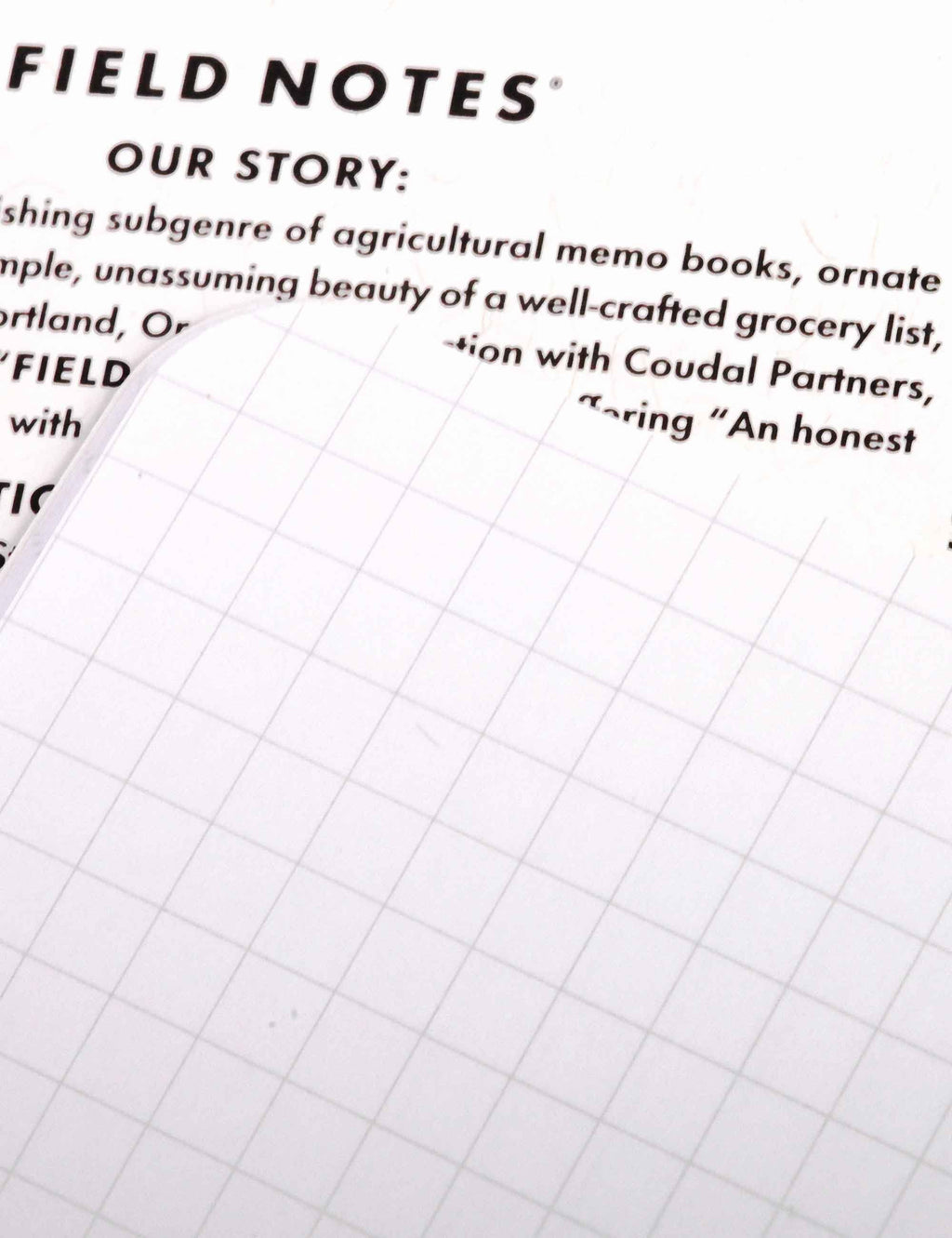 Open memo book page with light gray graph paper grid lines