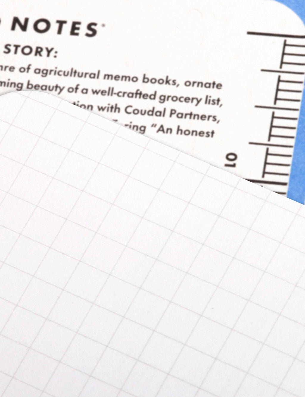 Graph paper notebook page with light gray grid and a ruler graphic along the edge