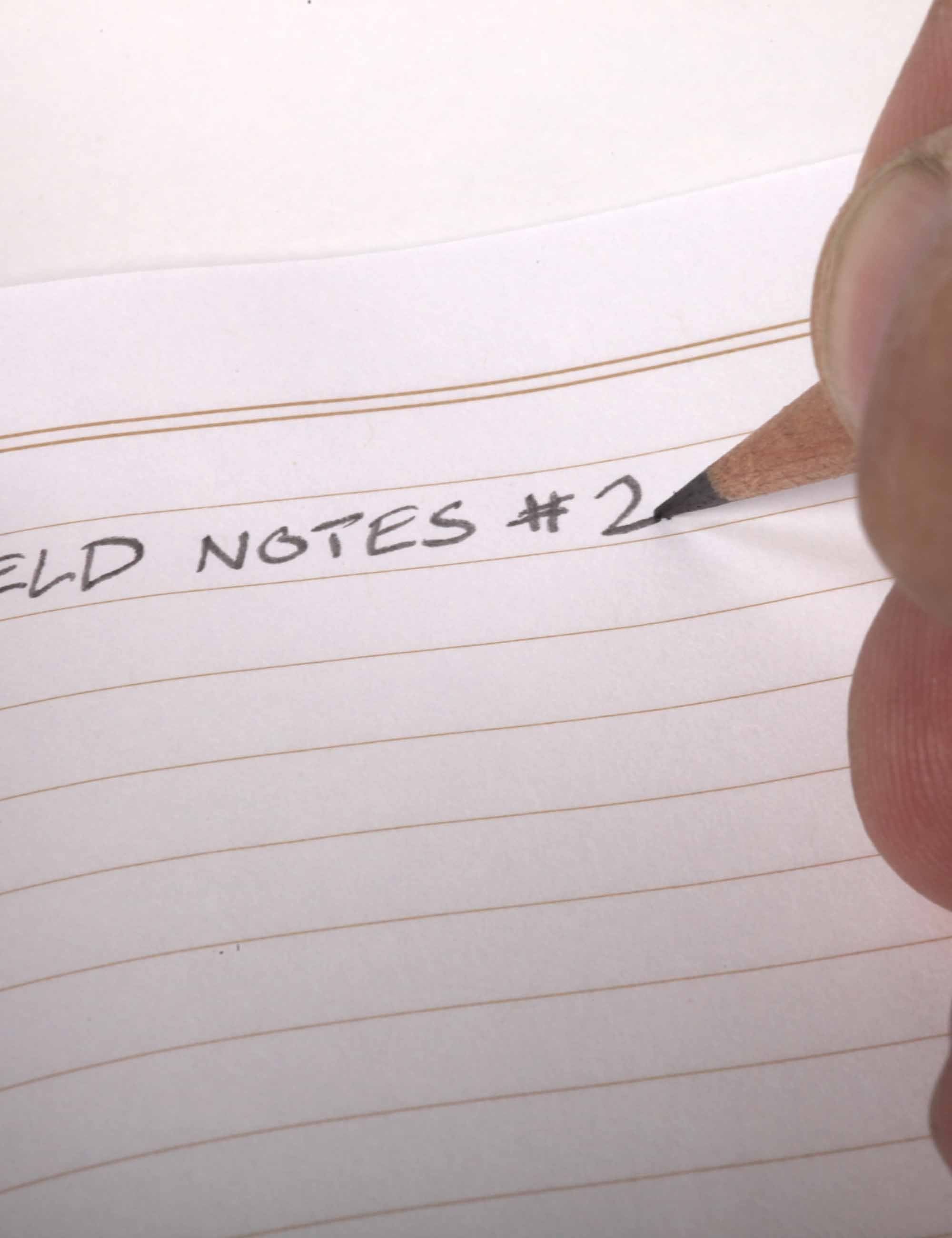 Woodgrain Pencil (6 Pack)