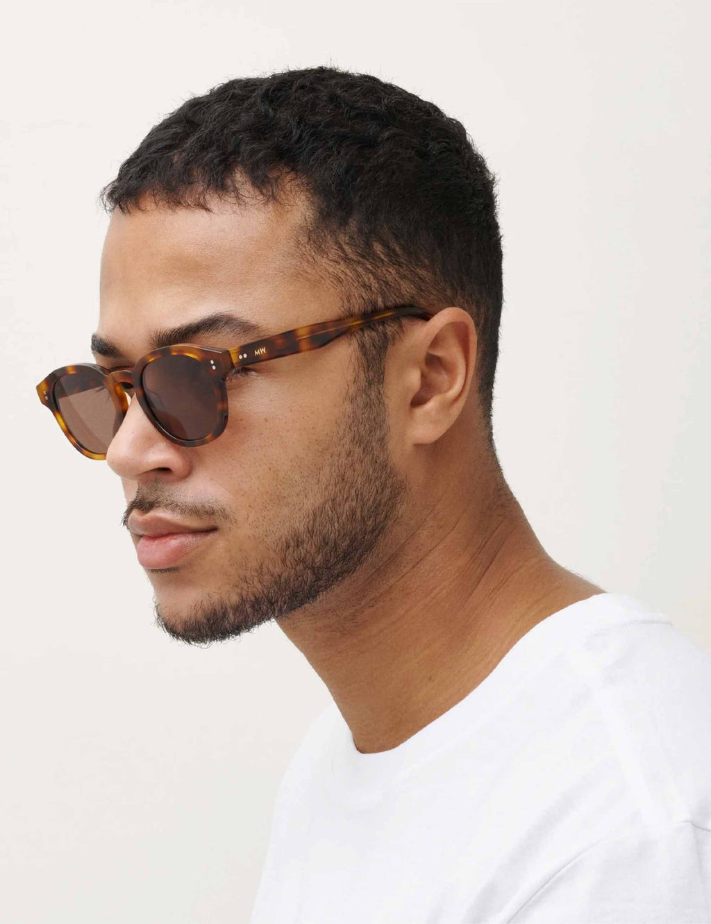 Billie Sunglasses - Tortoise/Gradient Brown