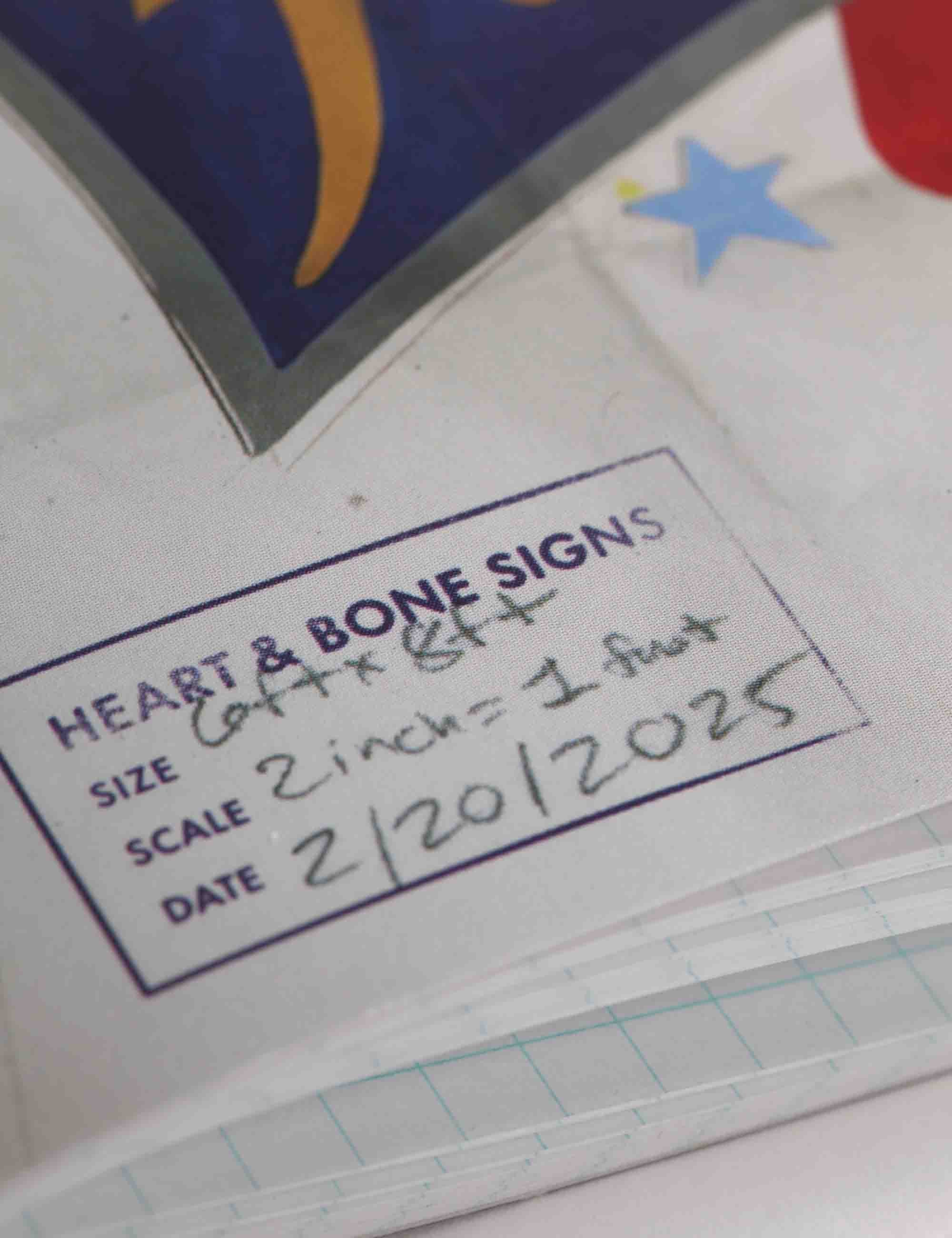 The Chicago Look (2pk)