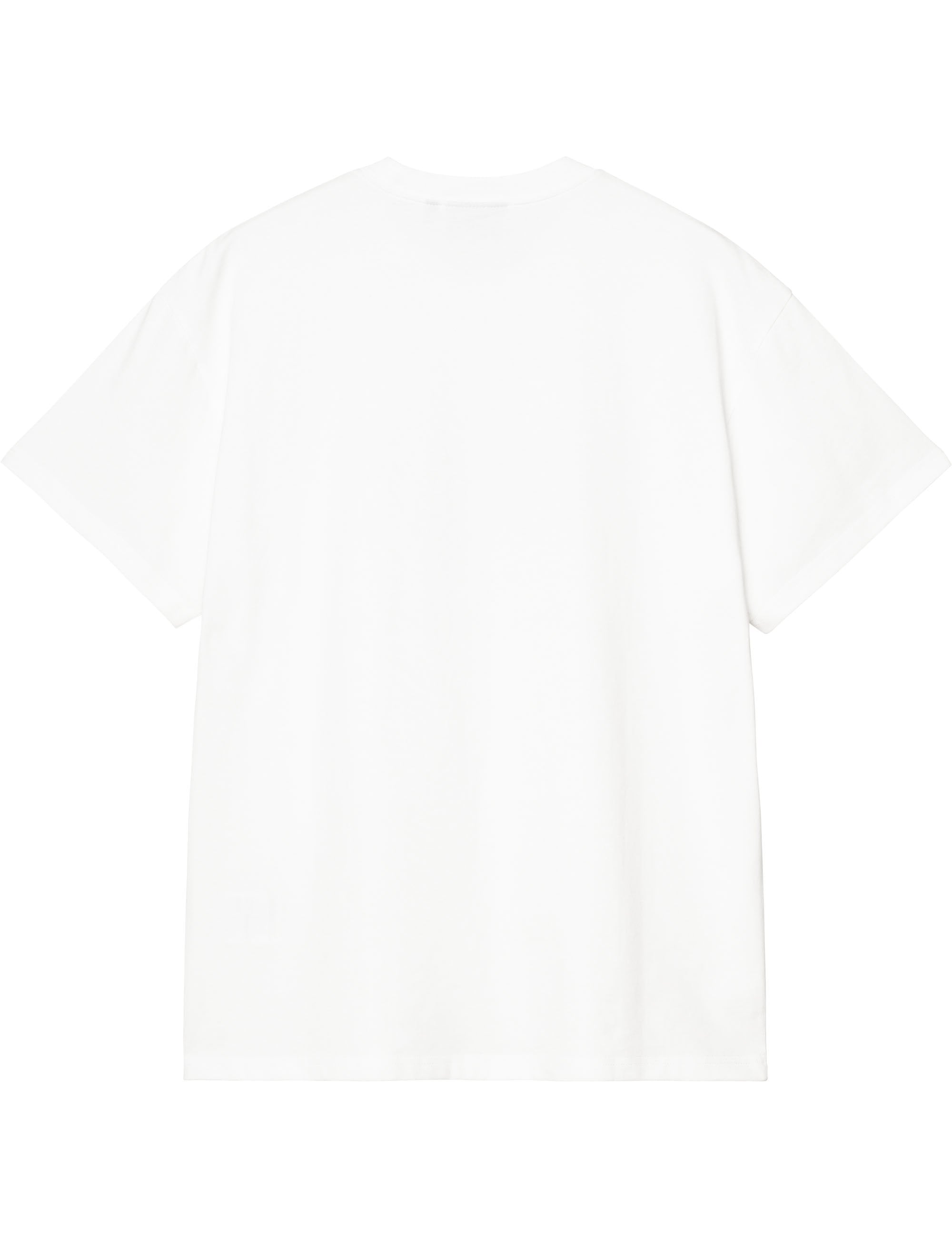 Carhartt WIP Terrestrial T-Shirt - White