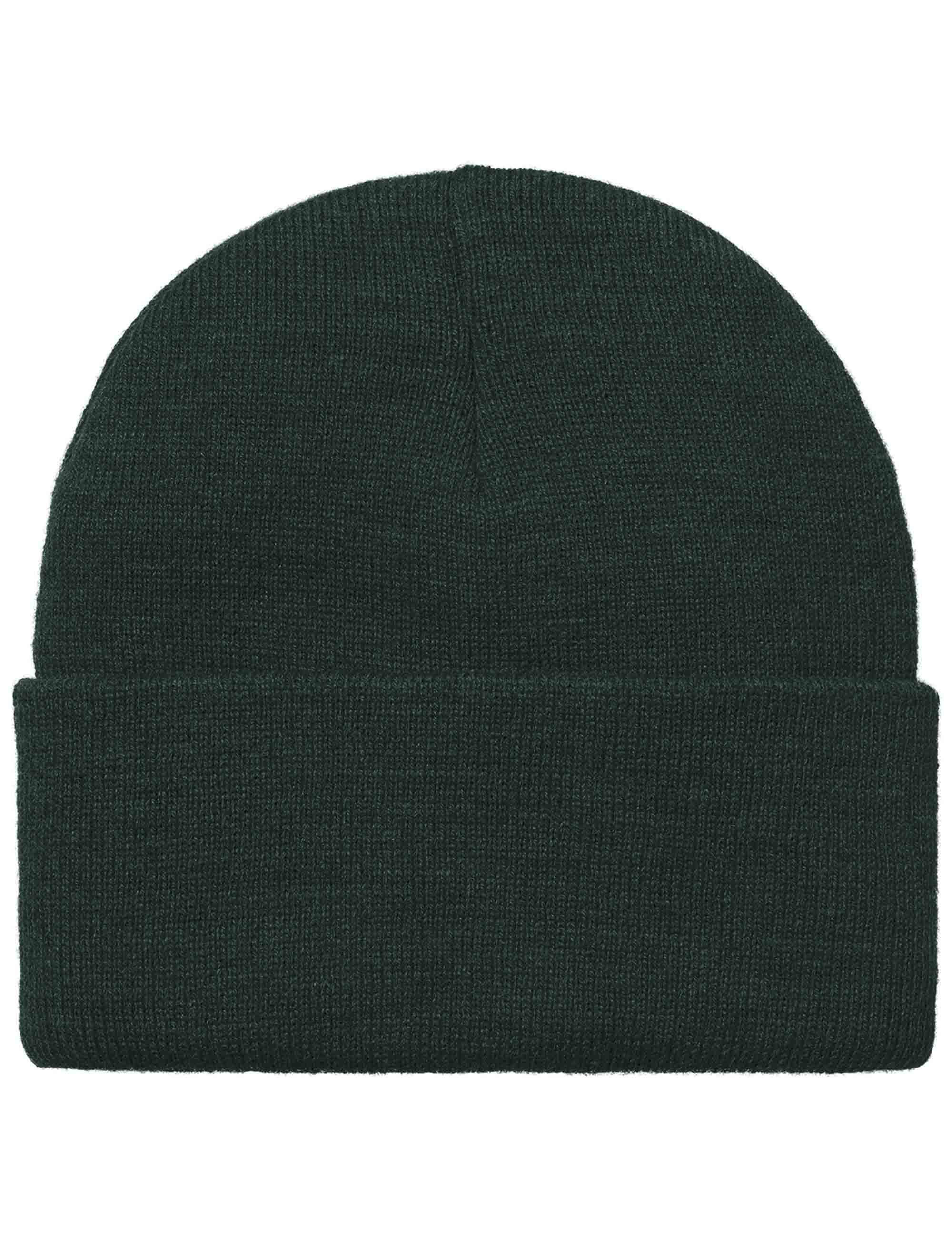 Carhartt WIP American Script Beanie Hat - Dark Fir