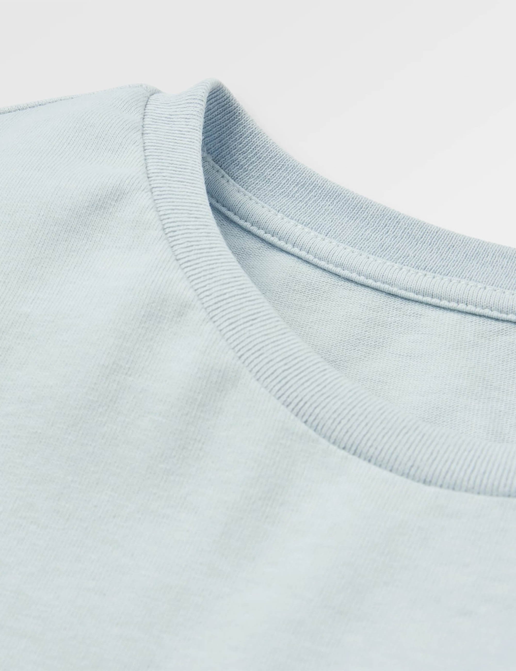 Passenger Outsiders Recycled Cotton T-Shirt - Ice Blue