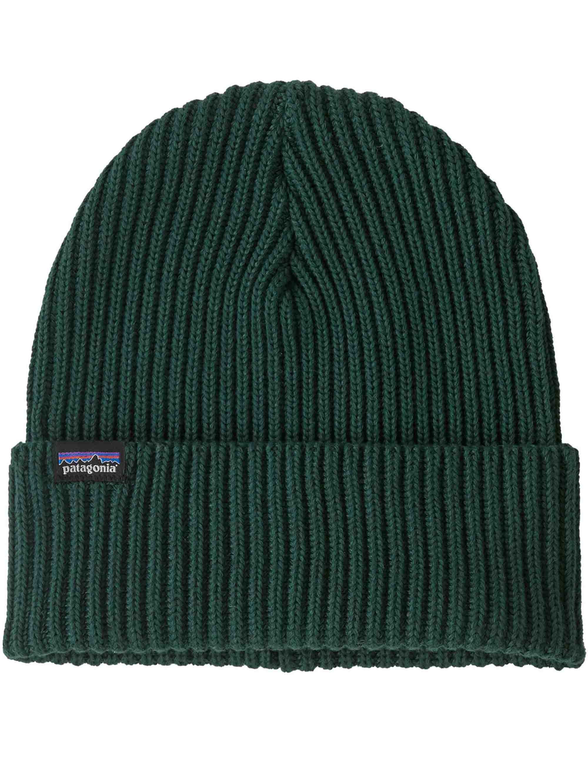 Patagonia Fisherman's Rolled Beanie Hat - Cascade Green
