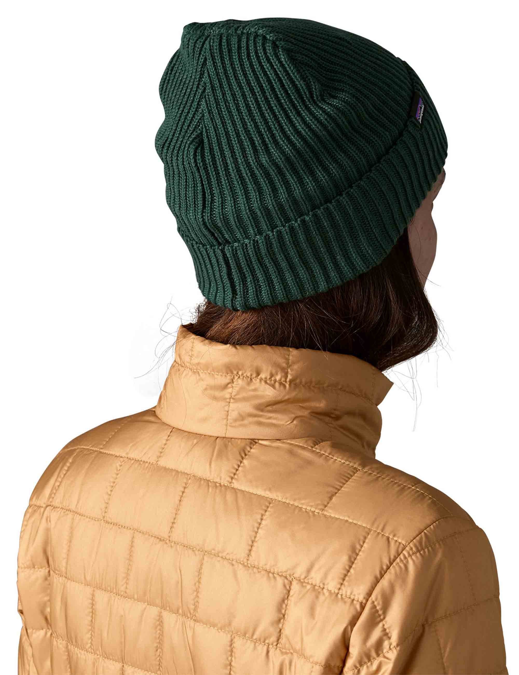 Patagonia Fisherman's Rolled Beanie Hat - Cascade Green