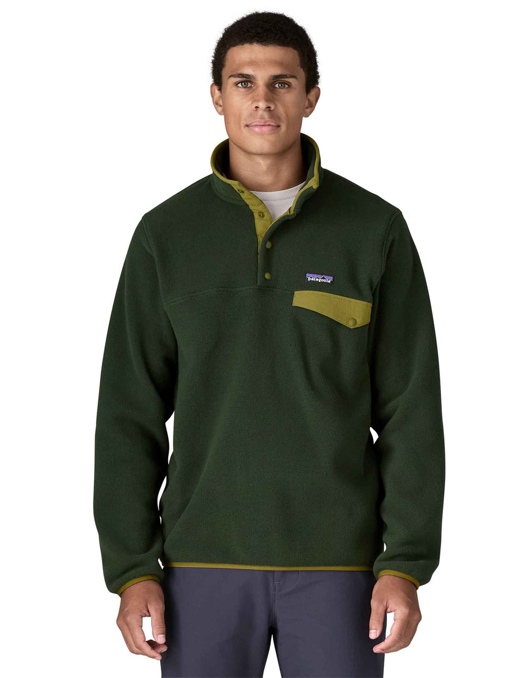 LW Synchilla Snap-T Fleece Pullover - Old Growth Green