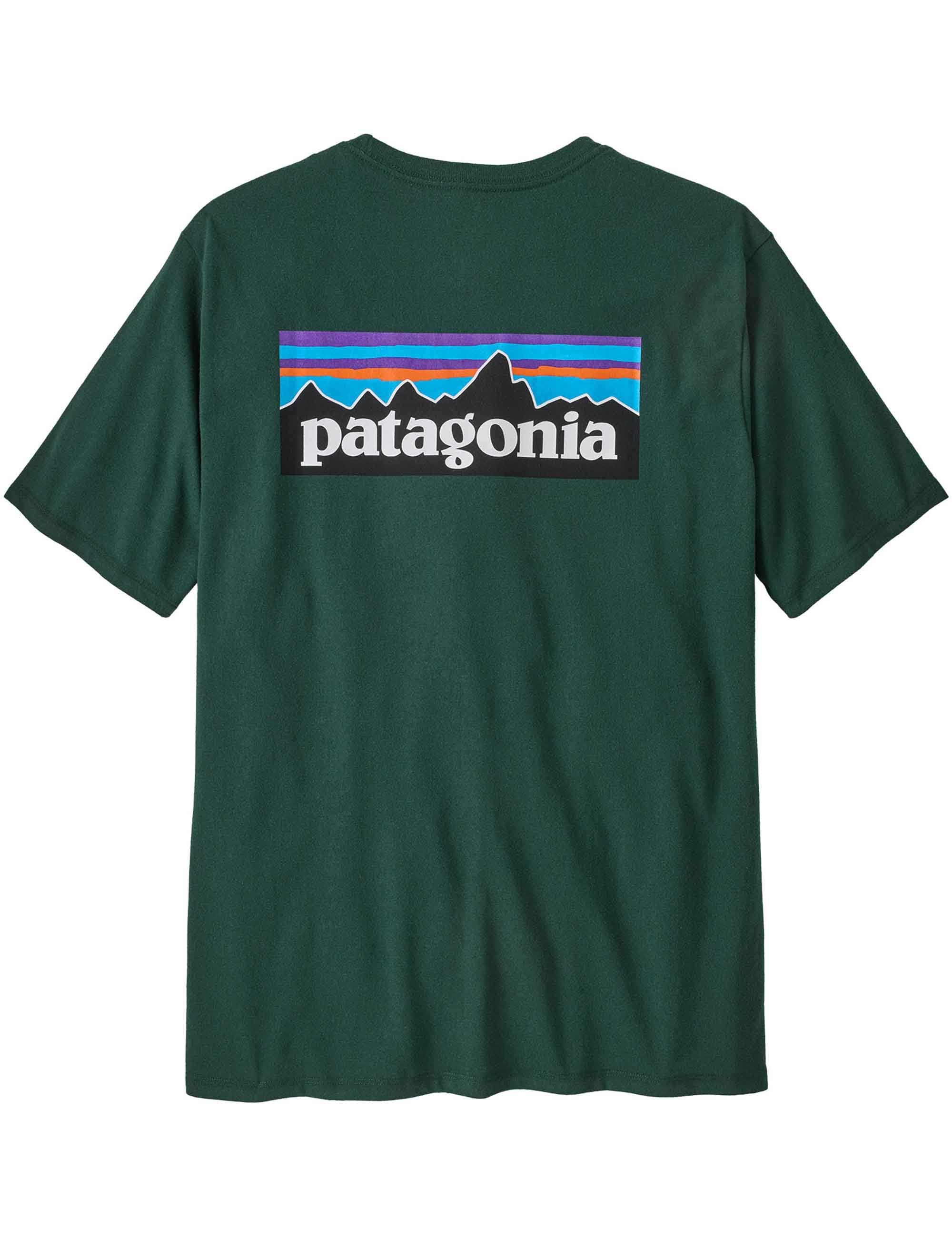 Patagonia P-6 Logo Responsibili T-Shirt - Cascade Green