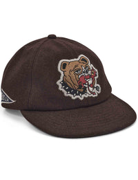 Sourmug Cap - Potting Brown