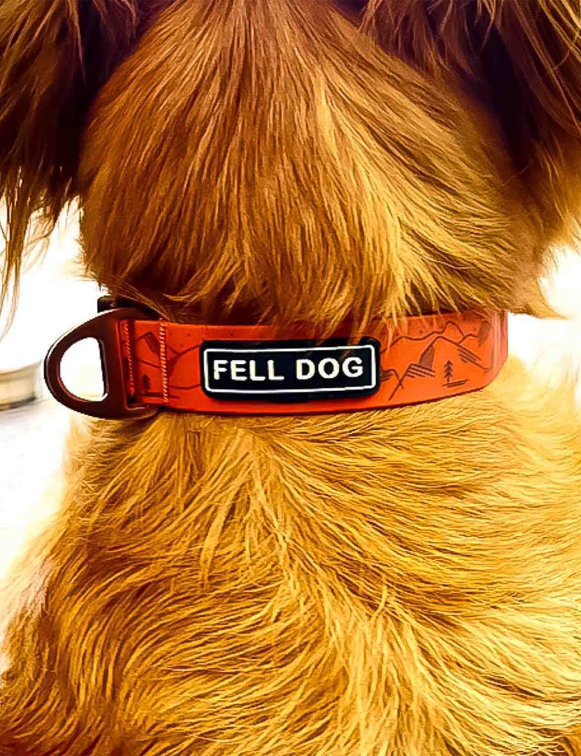 Fell Dog FEL DRE COL S FEL DRENCH COL SML - ORA