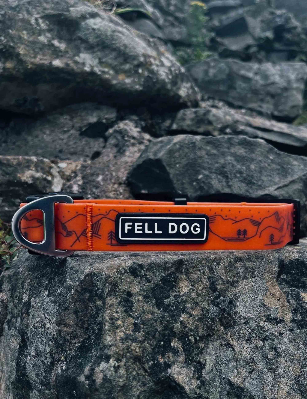 FEL DRE COL S FEL DRENCH COL SML - ORA